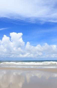 beach and beautiful tropical sea