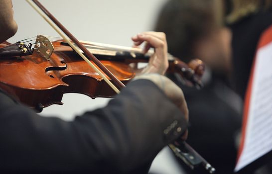 violinist at the concert