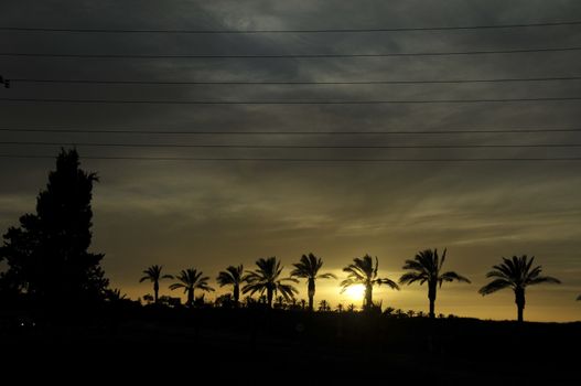 Skyline Netanya Israel