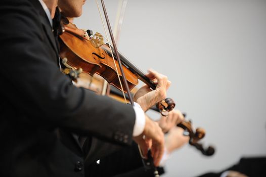 violinist at the concert