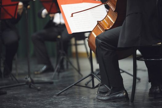 Cello musician at the concert