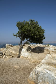 The religious mount tabor in israel where jesus Christ has been