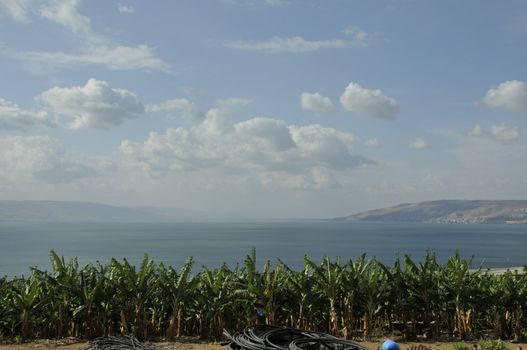landscape israel