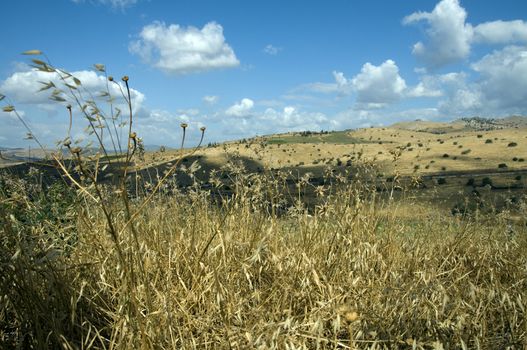 landscape israel