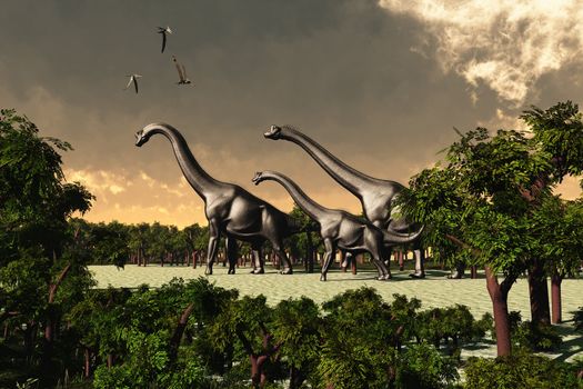 Three Brachiosaurus dinosaurs walk through a forested area while three Pterosaurs fly overhead.