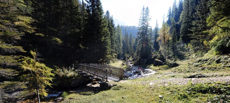 Stitched panorama of a beautiful picture of summer forest