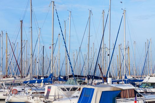 Small luxury pleasure yachts moored in a marina under a sunny blue sky