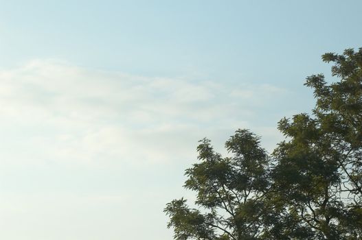 The crown on the background of the sky