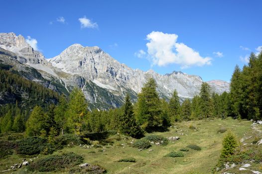 An image of a beautiful picture of mountains and green forest
