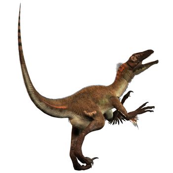 Fossils of this dinosaur where first found in Utah, United States in 1991. It was very intelligent and hunted prey in packs during the Cretaceous period.