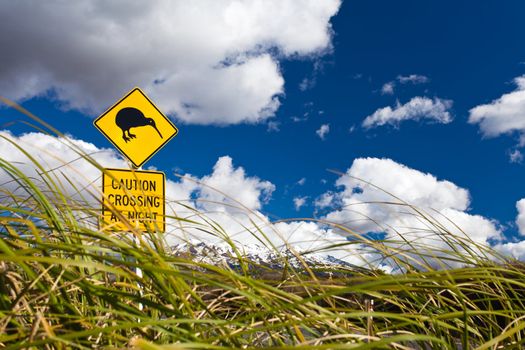 New Zealand Road Sign Attention Kiwi Crossing at road near active volcano of Mount Ruapehu in Tongariro National Park