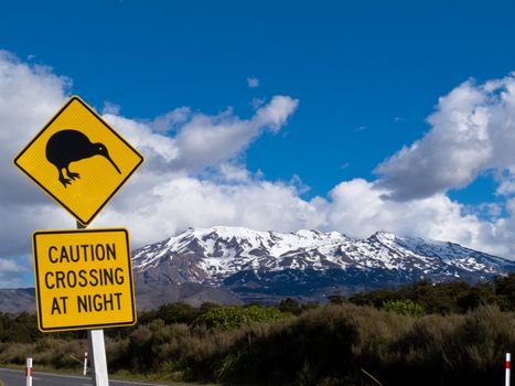 New Zealand Road Sign Attention Kiwi Crossing at road near active volcano of Mount Ruapehu in Tongariro National Park