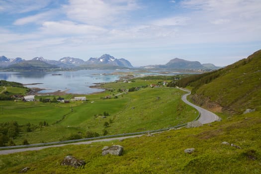 Green fields on Lofoten islands in Norway during short summer above arctic circle