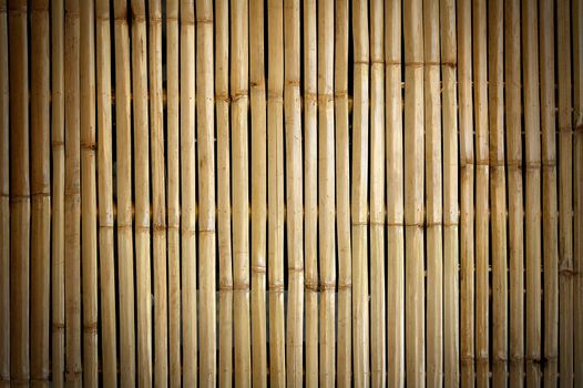 bamboo fence