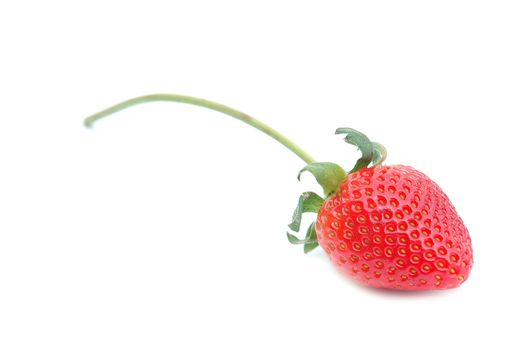 fresh strawberry and white background