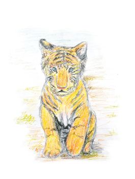 bengal tiger cub crayon painting