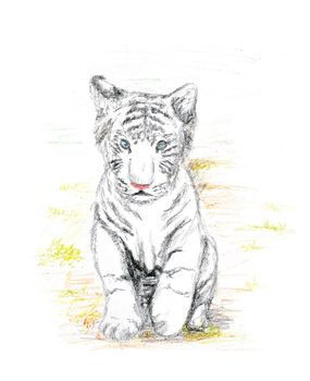 baby white tiger crayon painting