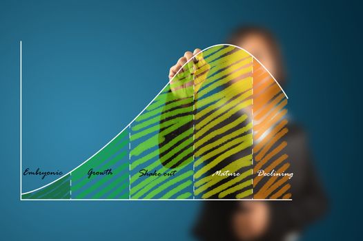 working women write business life cycle graph