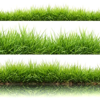 3 style fresh spring green grass isolated on white background 