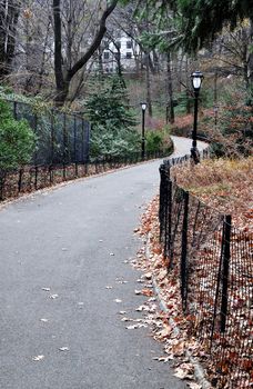 Winding path in Central Park in New York City on an overcast fall afternoon