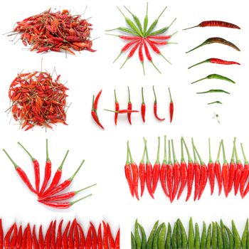 fresh and dried chili isolated on white background