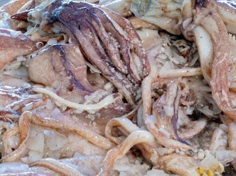Offering of fresh octopus seafood chilled on ice at a fishery, fish market or supermarket on display for shoppers to buy for a delicious dinner