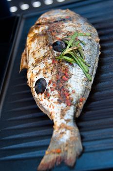 Gilthead seabream nicely marinated and ready for barbecue
