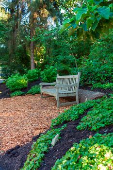 Photo of isolated empty wooden bench in the park.