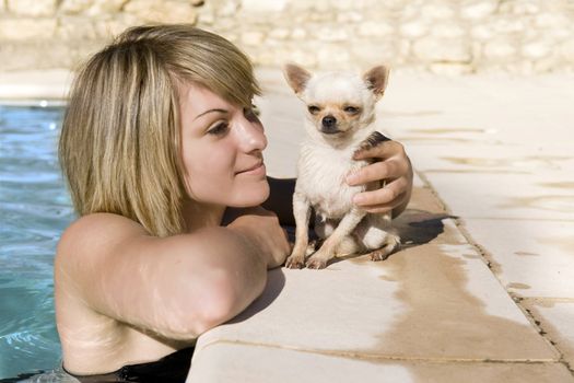 portrait of a cute purebred  chihuahua and young woman in the swimming pool