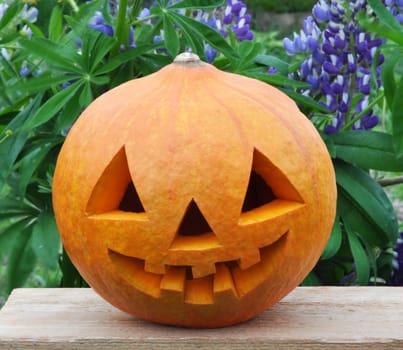 Symbol Halloween - a pumpkin ?? Lantern in on a board among flowers