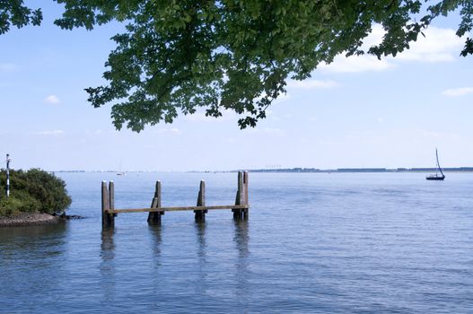 Haringvliet lake in Holland with boats and tree in the foreground