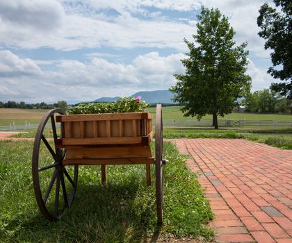 Wooden cart containing flowers and blossoms by brick path in landscape