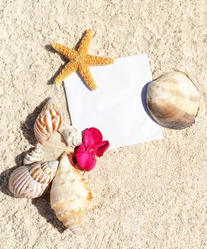 blank paper on white sand beach with starfish and shells like summer vacation background