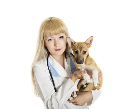veterinary doctor with a puppy on white background