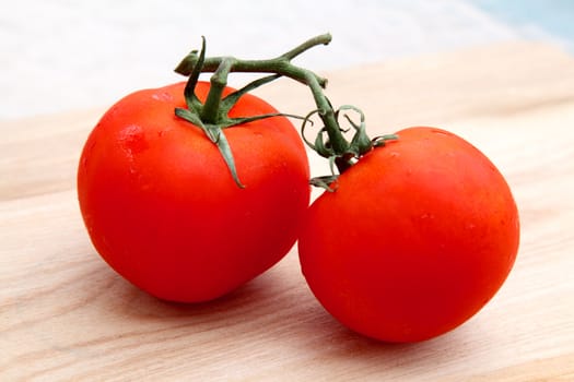 fresh red organic tomatoes with vine still attached