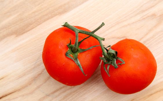 fresh red organic tomatoes with vine still attached