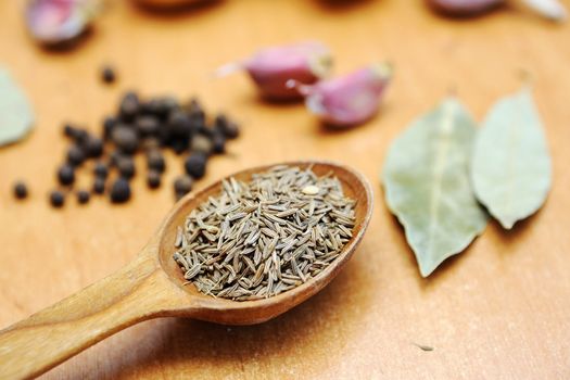 An image of a spoon with cumin seeds