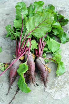 An image of fresh purple beetroots with green leaves