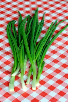 An image of green onion on table