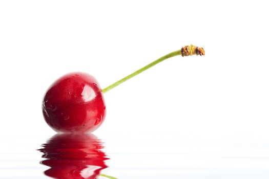 An image of red berry in a water. Image close up
