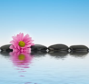 An image of black stones with reflections in water