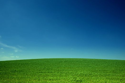 An image of sky over green field