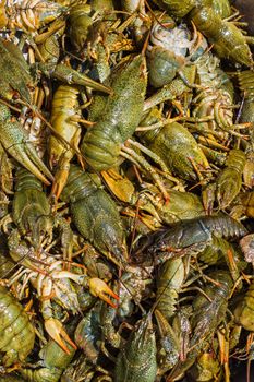 Background of the heap of live crawfish