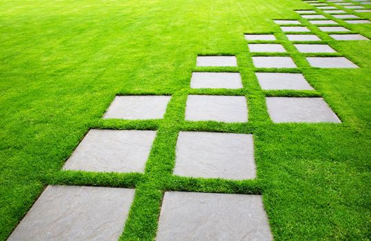 Diagonal Rows of Large Stone Pavers green grass lawn