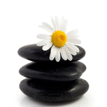 An image of a heap of black stones and flower