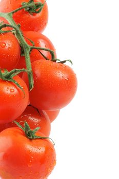 Frame of Tomatoes on twigs with droplets isolated on white background