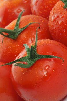 Background of Tomatoes on twigs with droplets close up 