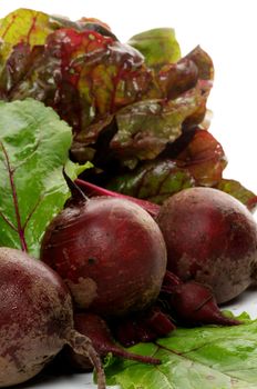 Bunch of Perfect Raw Beets and haulm close up on white background