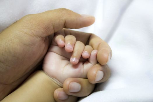 man holding a baby hand, extreme closeup