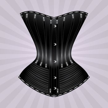 Vector illustration of corset inspired by historic corsets